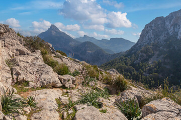 Fototapeta na wymiar Landschaft am Aussichtspunkt Mirador des Colomer, Mallorca