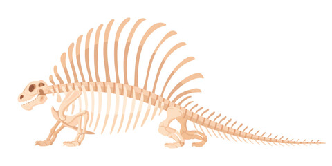 Dinosaur fossil bones. Cartoon Ancient Jurassic reptile fossil, dino skeleton flat vector illustration on white background