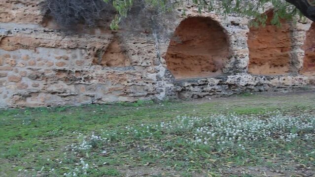 agrigento sicily italy ancient ruins cave like openings medium shot pan right to left with tree in foreground by temple of juno concordia pillars