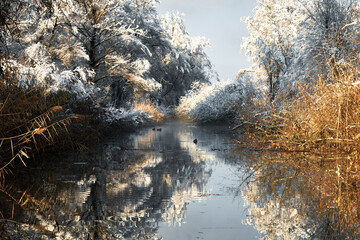 Malerische Winterlandschaft spiegelt sich im Fluss
