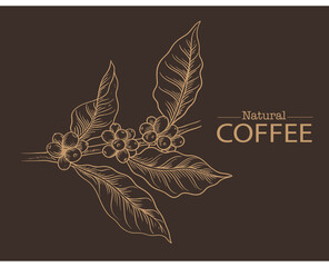 Banner and brochure template of coffee tree and farmer on sketch ink drawing for label packaging, sticker, poster, promotion, banner, t-shirt, tote bag, stamp.