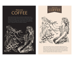 Banner and brochure template of coffee tree and farmer on sketch ink drawing for label packaging, sticker, poster, promotion, banner, t-shirt, tote bag, stamp.