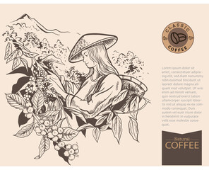 Banner and brochure template of coffee tree and farmer on sketch ink drawing for label packaging, sticker, poster, promotion, banner, t-shirt, tote bag, stamp.