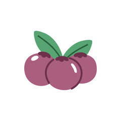 Grape Cartoon Illustration
