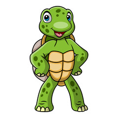 Cute turtle cartoon on white background