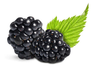Tasty ripe blackberries and green leaf isolated on white