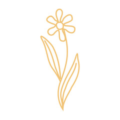 Obraz premium Floral Line Art