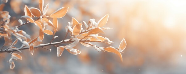 Winter nature background with frozen branch with leaves covered by snow and ice in the mourning....