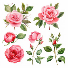 save invitation postcard date rose watercolor wedding romantic birthday border greeting elegance