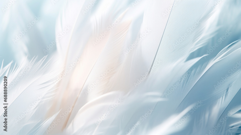 Poster feather background in soft color and blur style for graphic design.