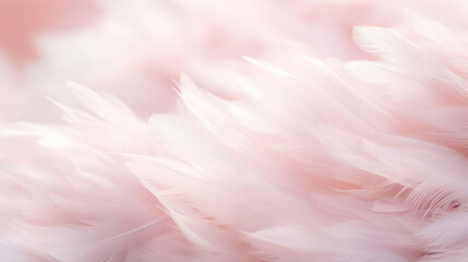 Soft focus of soft pink feathers background. Close up of soft pink feather texture.