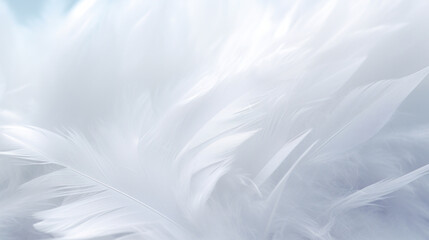 Obraz premium White feathers background. Close up of white feather texture for design
