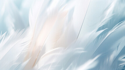 Feather background in soft color and blur style for graphic design.