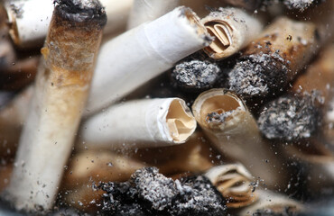 Lots of smoking joints tips in transparent glass macro Medical cannabis cretan super lemon haze...