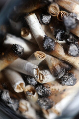 Lots of smoking joints tips in transparent glass macro Medical cannabis cretan super lemon haze close up background and wallpapers in super fine high quality instant stock photography printings