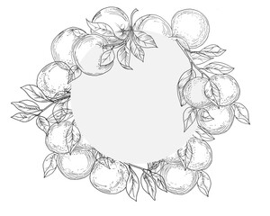 Hand Drawn Orange Fruit Wreath