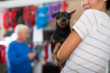 Portrait of happy positive woman visiting pet supplies store with her dog doberman pinscher