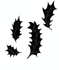 Decoration element object name save frame green documents rose drawing flower