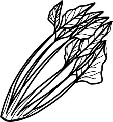 Celery Vegetable Doodle Vector Illustration