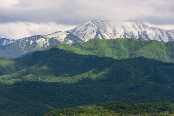 A picturesque summer mountain landscape with grassy foothills and snowy peaks in the outskirts of the Kazakh city of Almaty