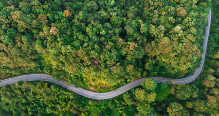 Aerial view of road in the middle of the forest , Top view road curve construction up to mountain, Rainforest ecosystem and healthy environment concept