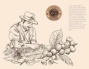 Banner and brochure template of coffee tree and farmer on sketch ink drawing for label packaging, sticker, poster, promotion, banner, t-shirt, tote bag, stamp.