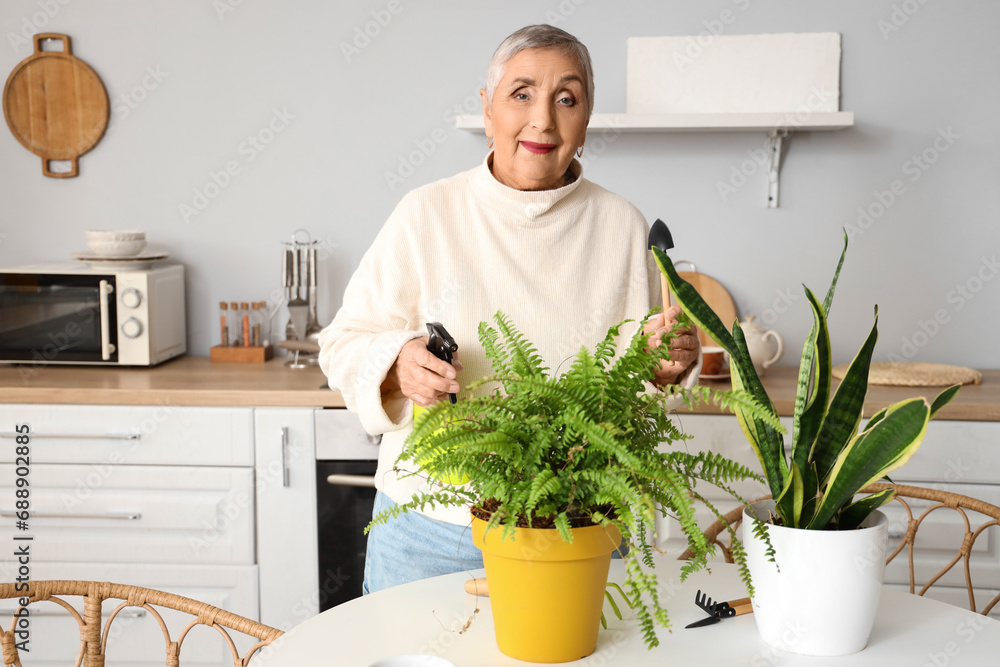 Poster Senior woman with gardening tools and plants in kitchen