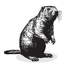 Beaver silhouettes and icons. black flat color simple elegant white background Beaver animal vector and illustration. © Shawon003