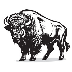 Bison silhouettes and icons. black flat color simple elegant white background Bison animal vector and illustration. © Charlie 57