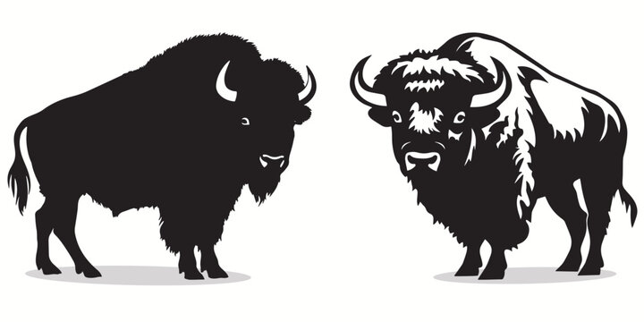 Bison silhouettes and icons. black flat color simple elegant white background Bison animal vector and illustration.