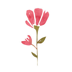 Brush Pink Flower Graphic Element