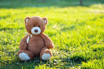 Big plush teddy bear sitting alone on green grass lawn in summer. Concept of childhood