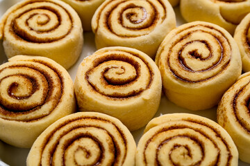Uncooked cinnamon rolls on baking dish, closeup