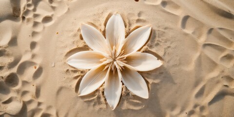 Fototapeta na wymiar Sand flower On The Beach top view.