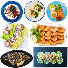 Collection of assorted seafood meals isolated on white ..