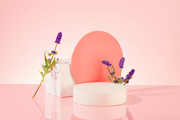 The white podium and pink podium are artistically arranged with fresh lavender flowers on a light pink background. Lavender is widely used in aromatherapy and to treat minor wounds.