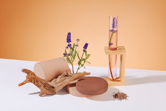 Wooden platforms, dried branches, fresh lavender, dried lavender and a test tube are displayed on a white table. Space for product display with lavender extract