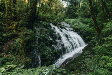 waterfall in the forest - Chiang Mai, Thailand