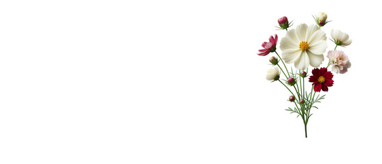 Flower Antique Illustration Anemone. AI generative 