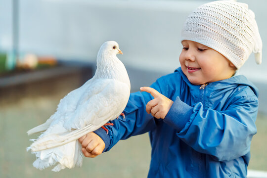 Happy little boy with white pigeon sitting on arm in city. Smiling toddler child with trained pigeon on town street. Bird pet on kid hand