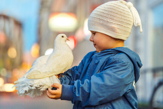 Happy little boy with white pigeon sitting on arm in city. Smiling toddler child with trained pigeon on town street. Bird pet on kid hand