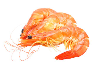 Shrimp on white background isolated