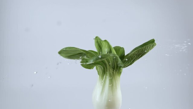 Pak Choi spinning with water