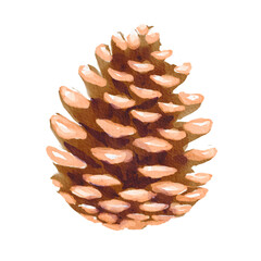 Pine cone watercolor.