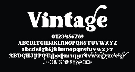 Vintage Serif vintage display font Best Alphabet Alphabet Brush Script Logotype Font lettering handwritten