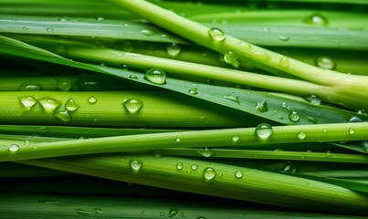 Fresh green lemongrass or citronella grass background. Cooking, organic food, SPA, healthy lifestyle and wellness concept. Generative AI