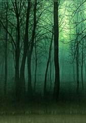 Fototapeta premium Spirit Forest Version01
