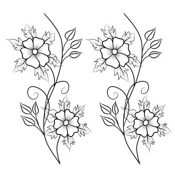 line art flower drawing, line art flower vector, line art flower design