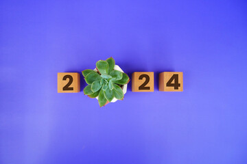 Top view of 2024 year calendar engraved on the surface of a wooden cube and green plants replacing...