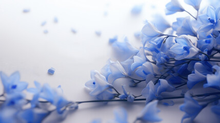 Beautiful blue orchids on a white background with copy space